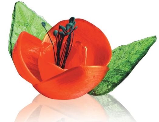 CC351 fleur sucre.jpg